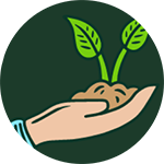 hand holding soil with plant sprout